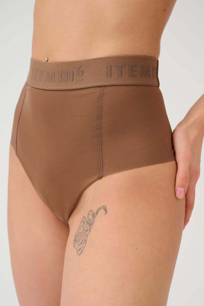 All Mesh Shaping Brief Panty