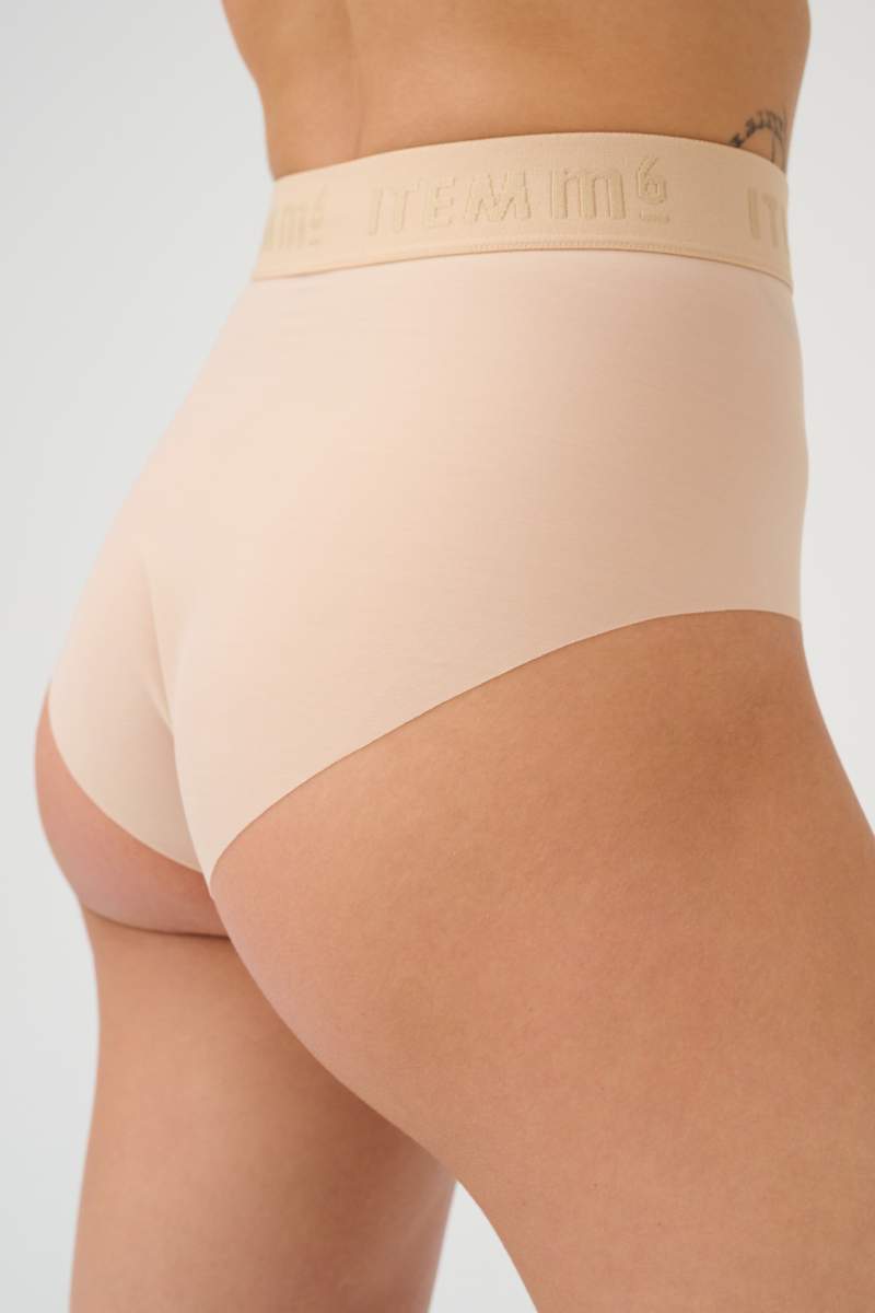 All Mesh Shaping Brief Panty