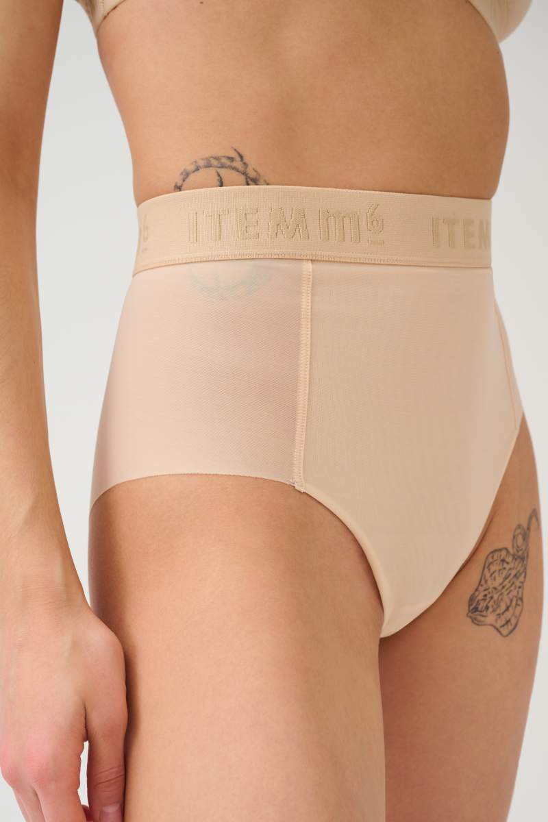 All Mesh Shaping Brief Panty