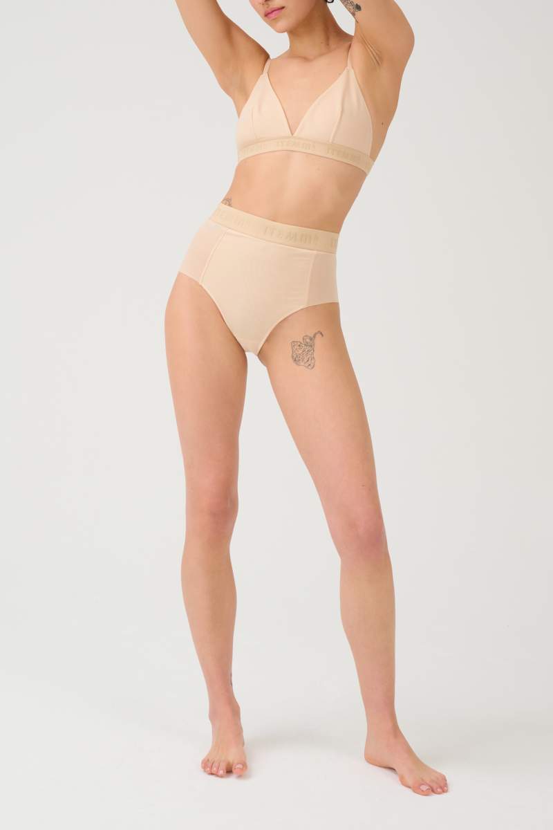 All Mesh Shaping Brief Panty