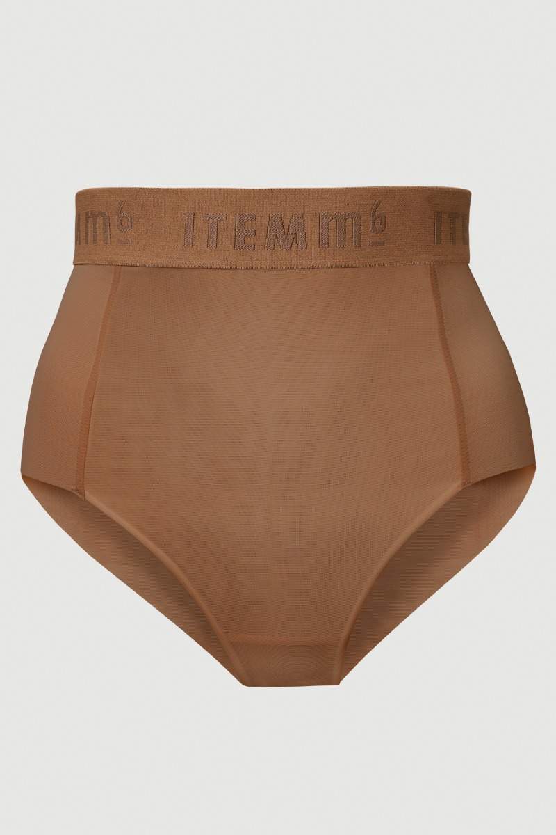 All Mesh Shaping Brief Panty